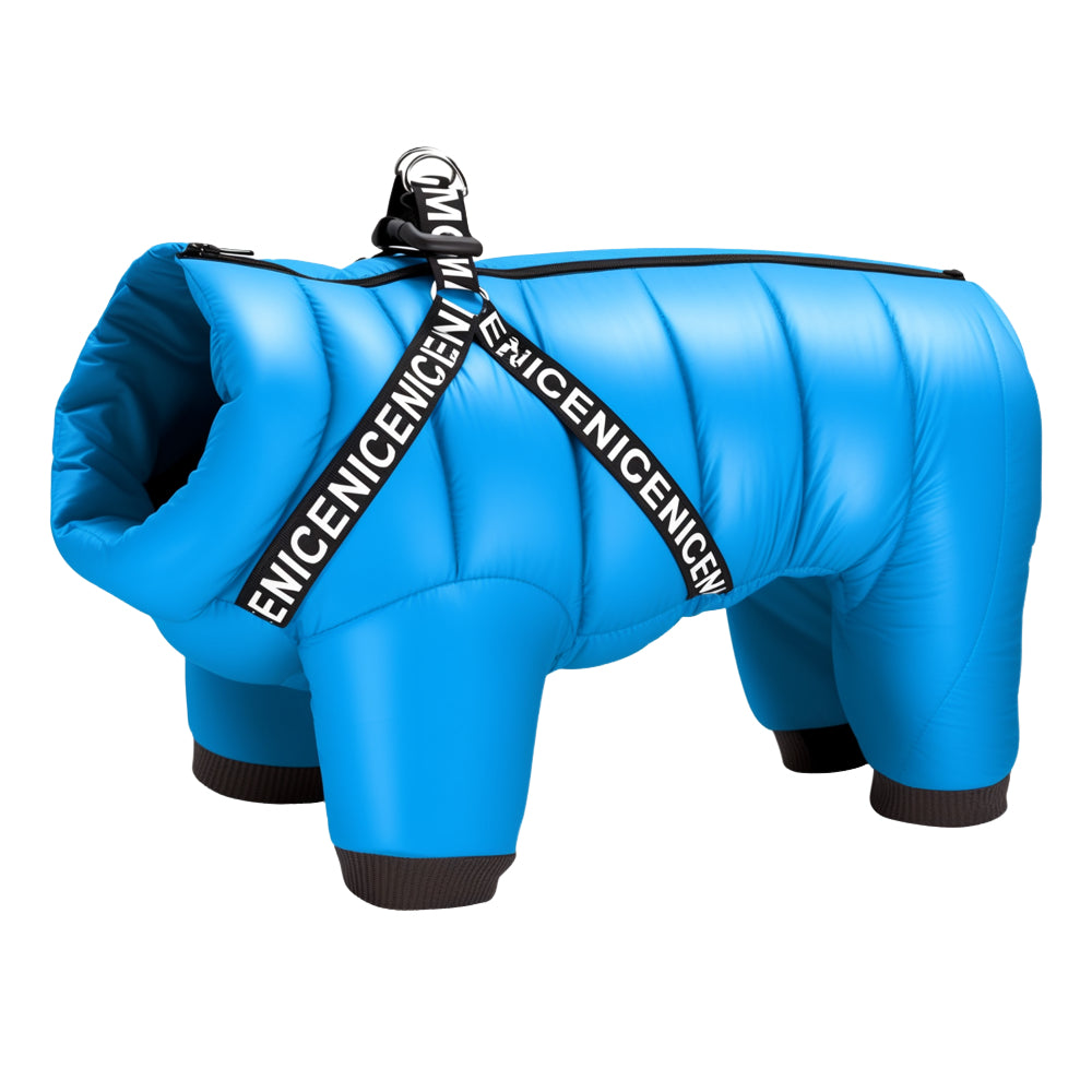 Sky blue dog winter puffer with thermal insulation and cozy fit.