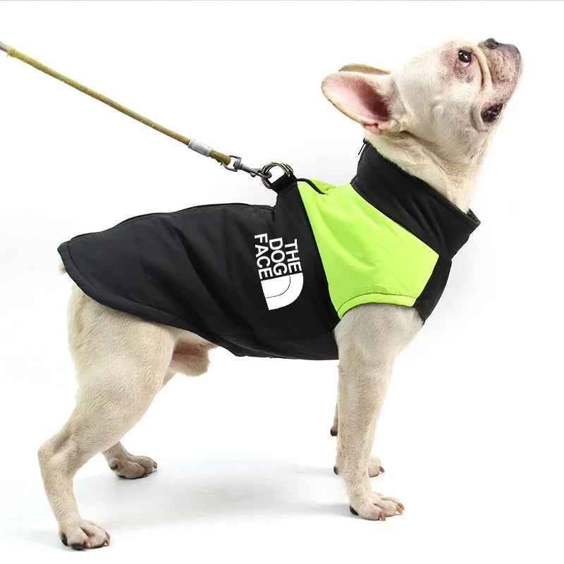 Dog wearing a black and green jacket with 'The Dog Face' logo on a white background