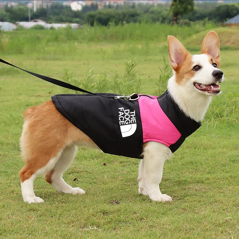Dog wearing a black and pink coat with 'The Dog Face' logo on a grassy field.