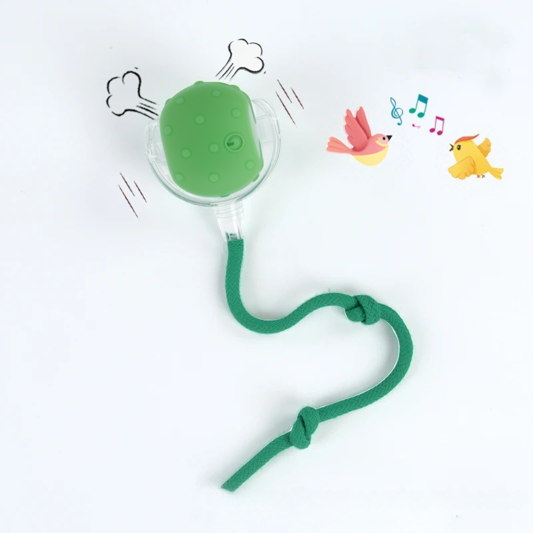 Green dog toy with a strap on a white background