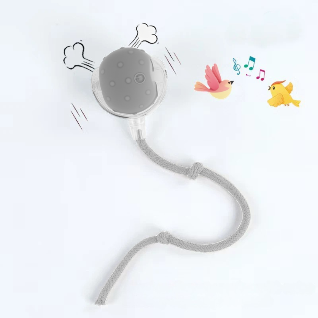 Gray pet toy with a rope on a white background