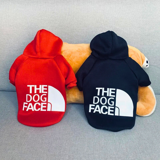 Dog Hoodies That Keep Your Pup Warm, Cute, and Connected | Barkie