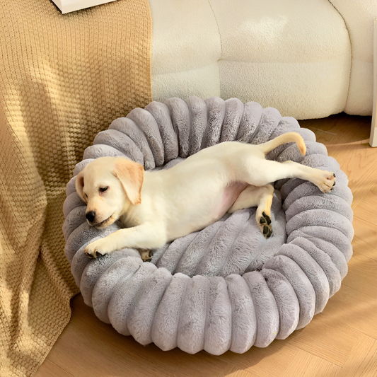 How a Donut Dog Bed Can Improve Your Dog’s Sleep and Wellbeing