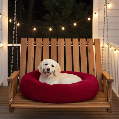 Dog lying on a red pet bed on a wooden swing with string lights in the background