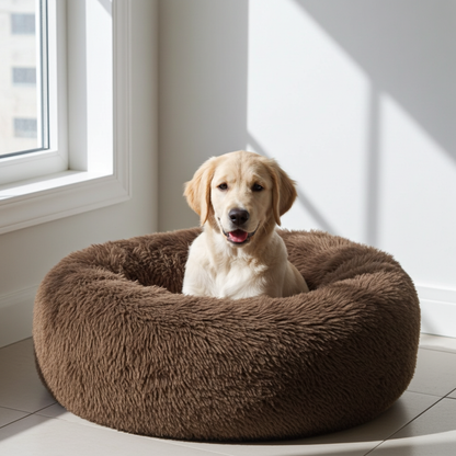 Dog sitting on a fluffy brown pet bed in a bright room with a window.