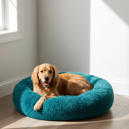 Dog lying on a teal fluffy dog bed in a bright room.