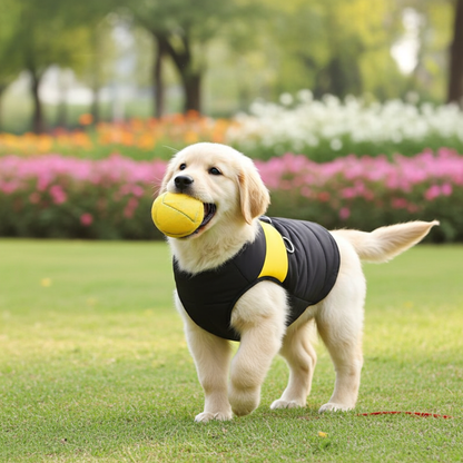 Golden Retriever puppy wearing a black and yellow The Dog Face jacket, holding a tennis ball in a park with flowers in the background.