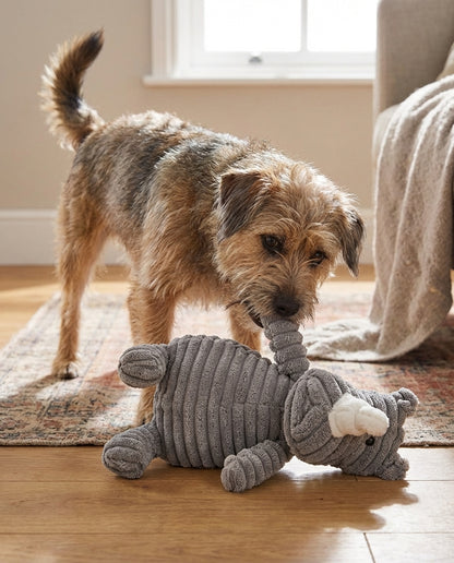Dog playing with a gray elephant toy on a wooden floor.