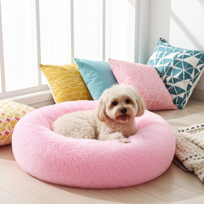 Dog lying on a pink donut bed with colorful pillows in the background