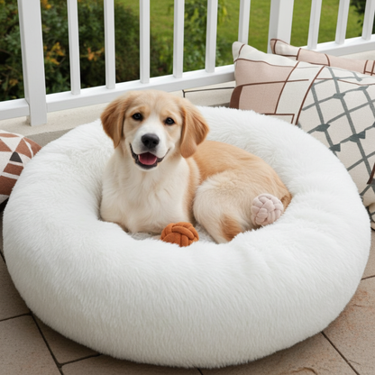 Dog sitting on a fluffy white pet bed outdoors