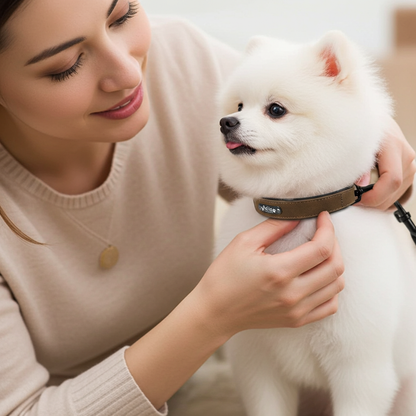 Woman petting a white dog wearing a brown collar indoors