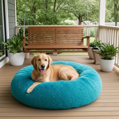 Dog lying on a blue donut bed on a wooden deck with a swing and plants in the background.