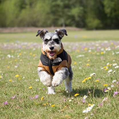 Dog running in a field of flowers wearing a coat with a visible brand logo.