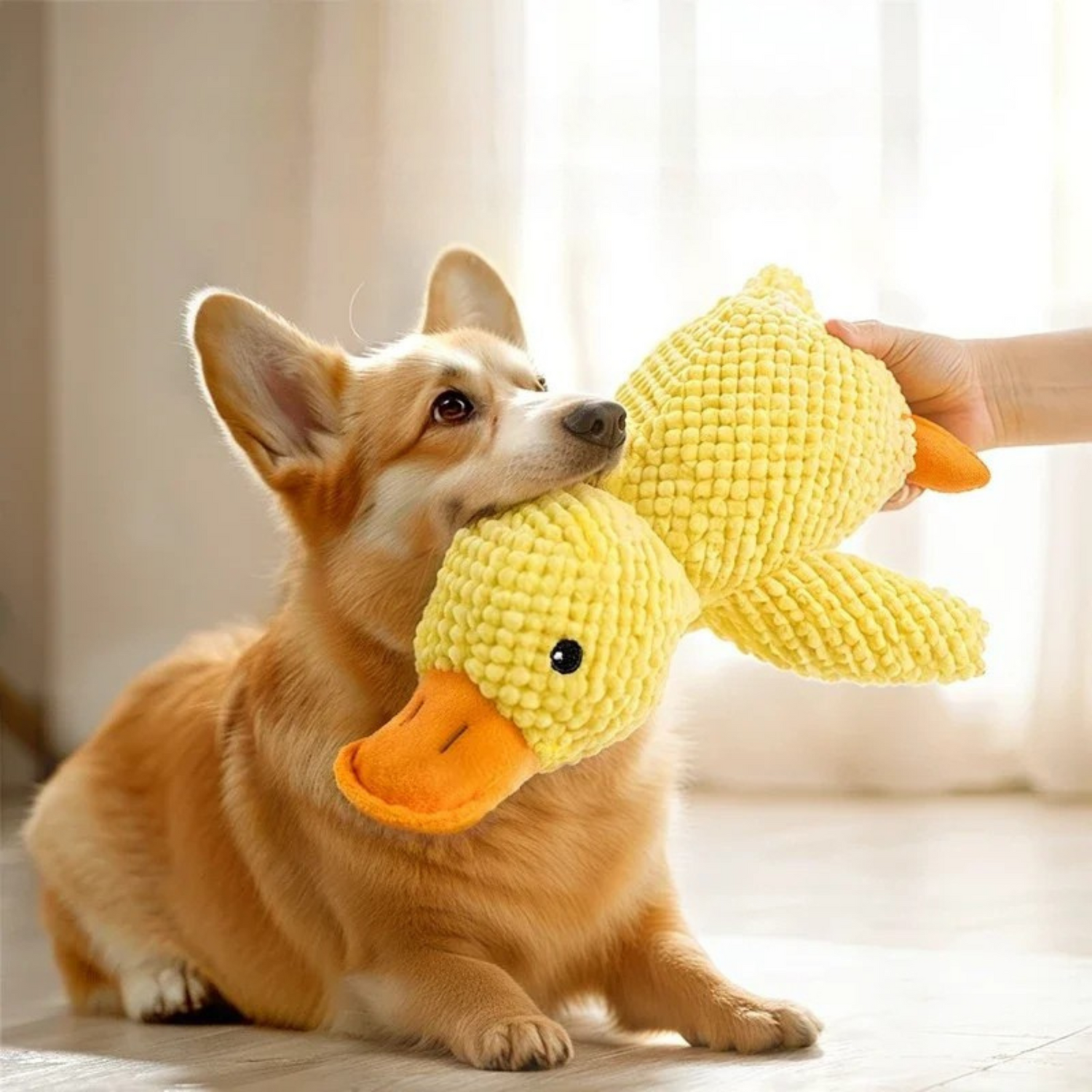 Plush Duck Dog Toy – Soft, Squeaky & Cuddly Comfort Toy – Barkie Life