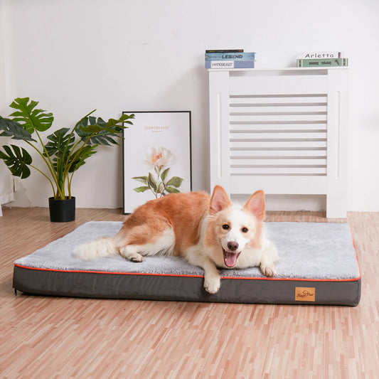 Dog lying on a gray pet bed in a room with a plant and books.