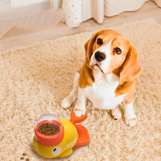 Dog playing with treat dispensing toy