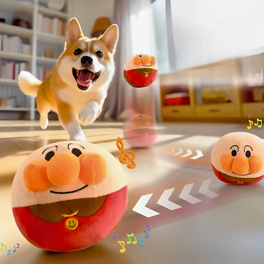 interactive dog toy used during indoor playtime