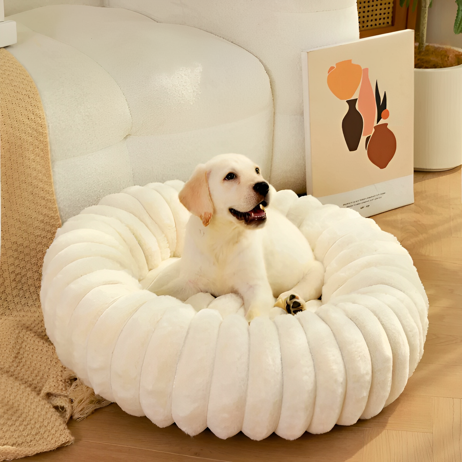 Donut Dog Bed in white color