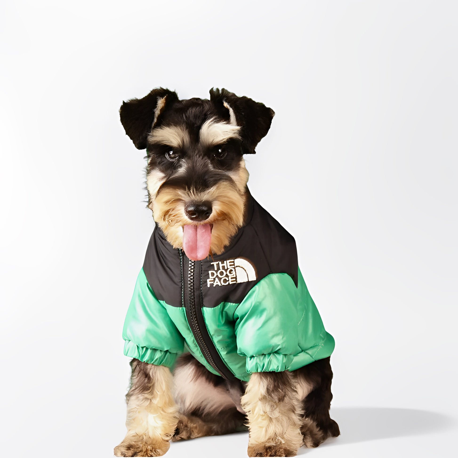 stylish winter coat for dogs in cold weather