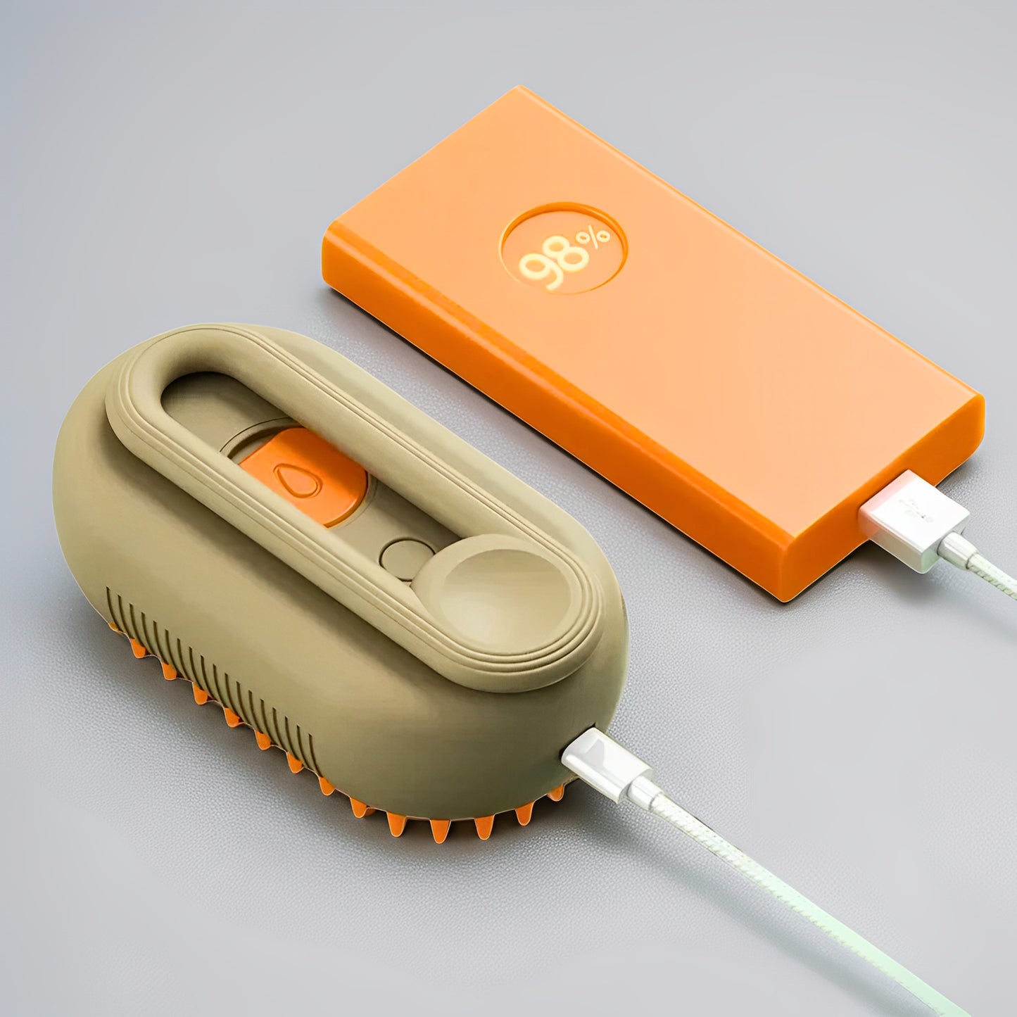 USB rechargeable dog steam brush