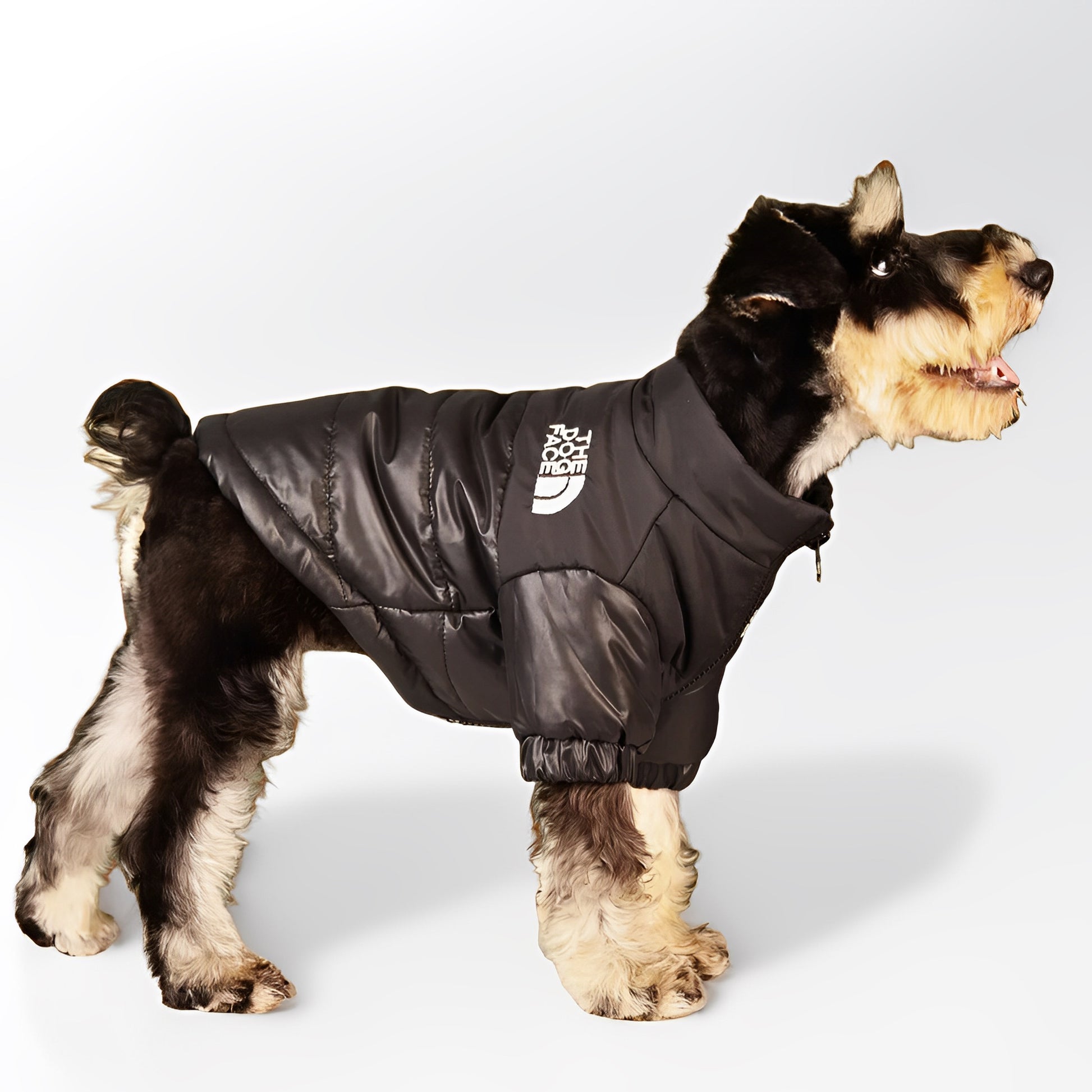 cozy dog puffer jacket on light brown dog