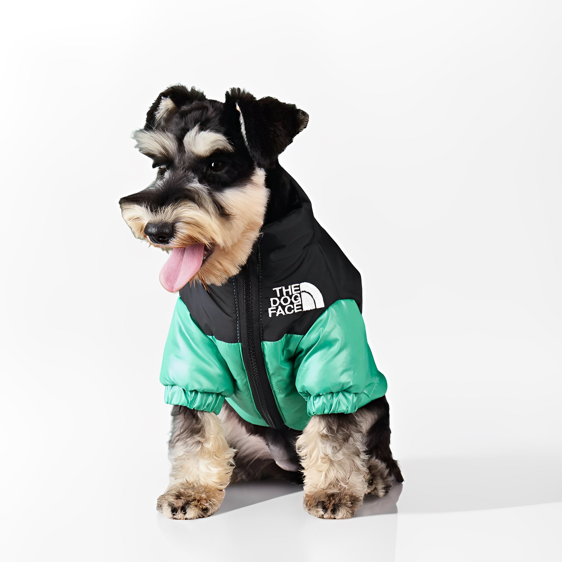multiple sizes of winter dog jackets displayed
