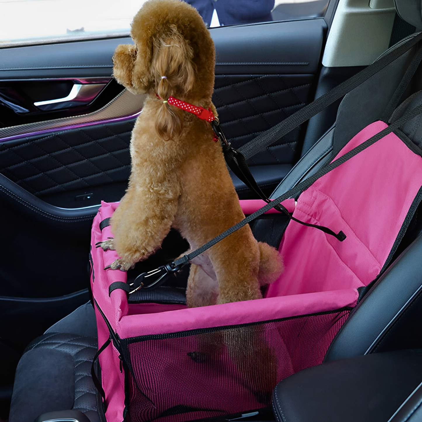 Foldable dog car seat for travel
