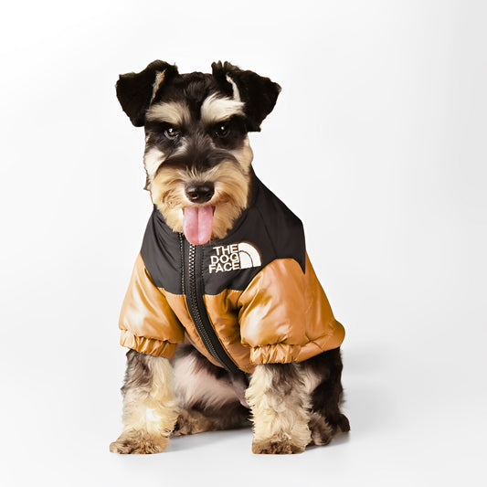 dog puffer jacket with bold color and soft lining