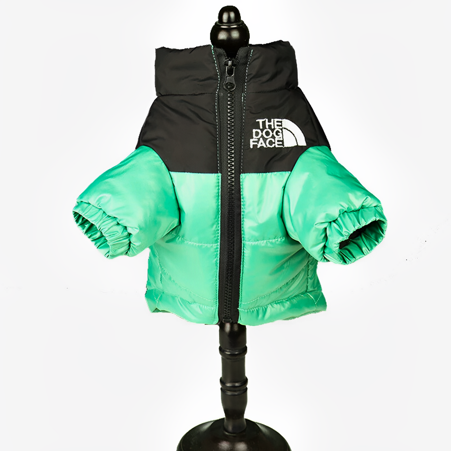Winter Dog Puffer Jacket in green color
