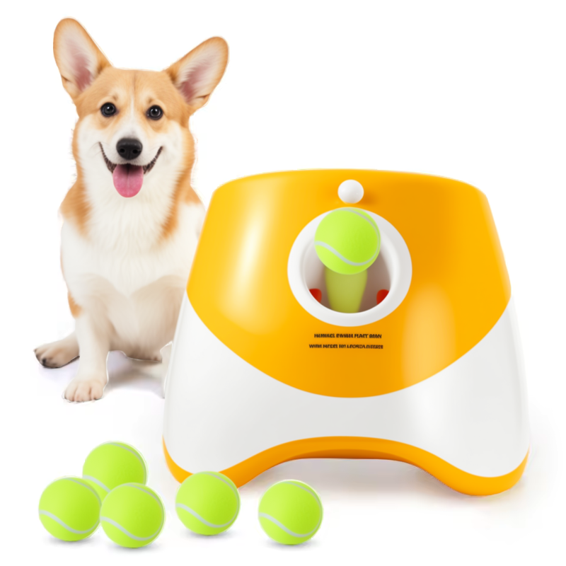 Happy corgi next to automatic dog ball launcher with multiple tennis balls – fun interactive fetch toy.