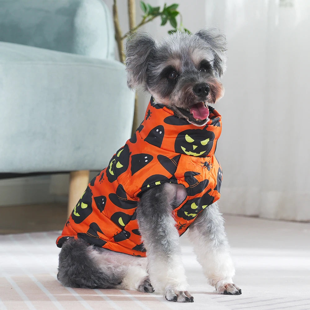 Dog wearing an orange Halloween-themed jacket with black cat designs indoors.