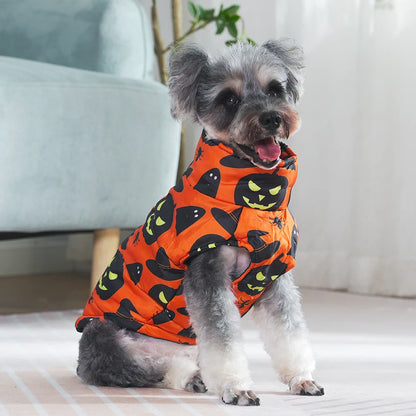 Dog wearing an orange Halloween-themed jacket with black cat designs indoors.