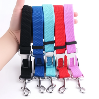 Set of colorful dog leashes with metal clasps held by a hand on a white background