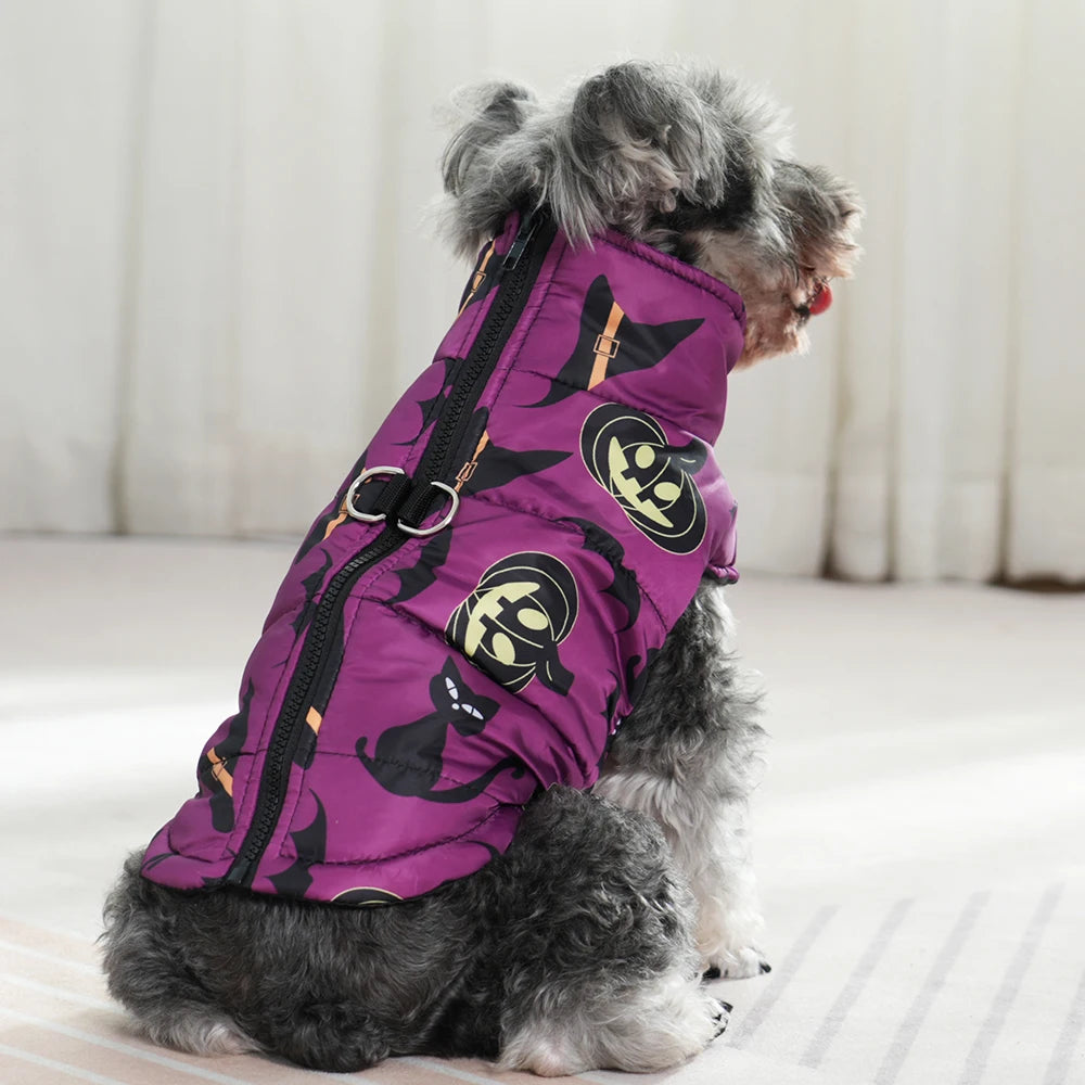 Small dog wearing a purple puffer jacket with black skull designs on a light background