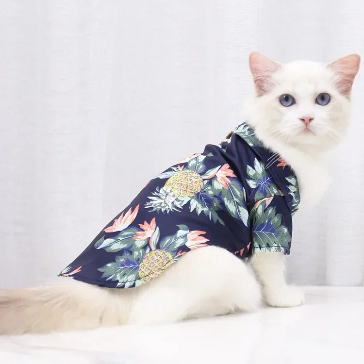 Cat wearing a floral shirt on a white background