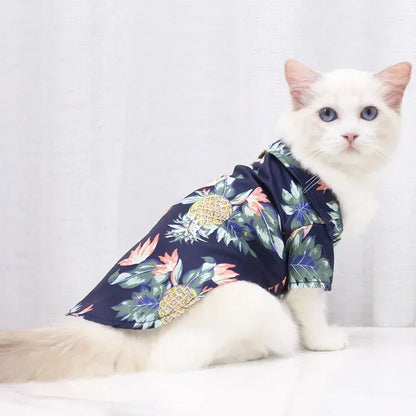 Cat wearing a floral shirt on a white background