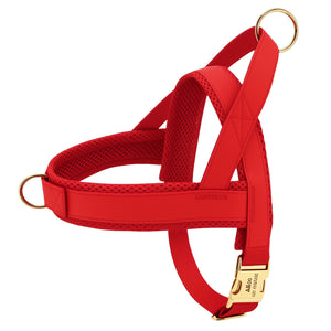 Bright red dog harness with golden engraved buckle and soft mesh lining