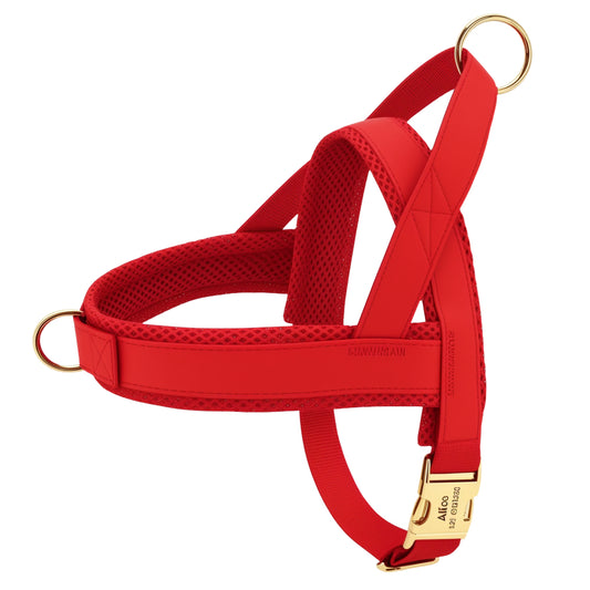 Bright red dog harness with golden engraved buckle and soft mesh lining