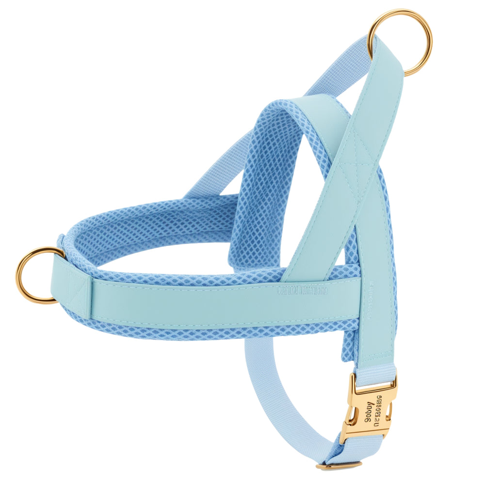 Light blue custom dog harness with soft mesh interior and gold hardware