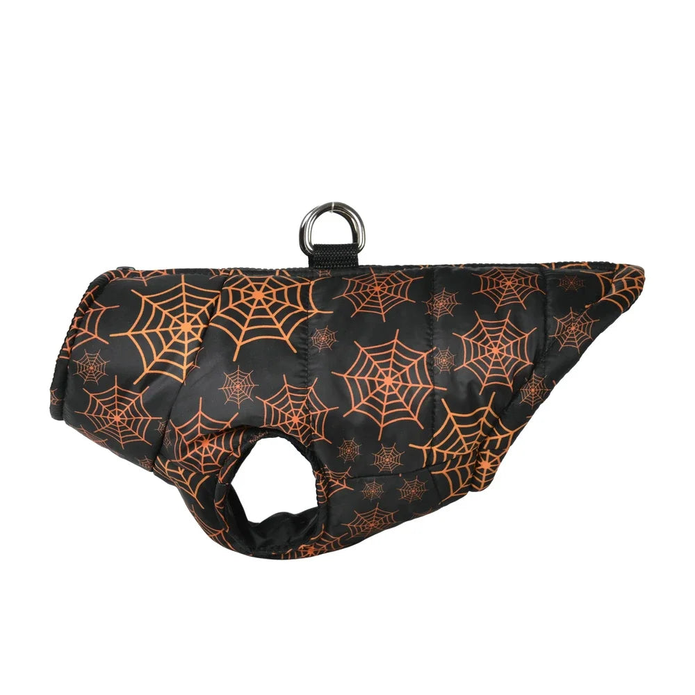 Dog coat with spider web pattern on a white background