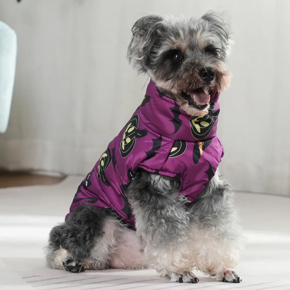 Small dog wearing a purple superhero costume on a light background
