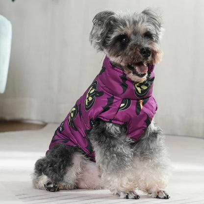 Small dog wearing a purple superhero costume on a light background