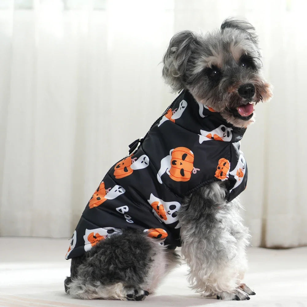 Dog wearing a black Halloween-themed coat with pumpkins and ghosts on a white background