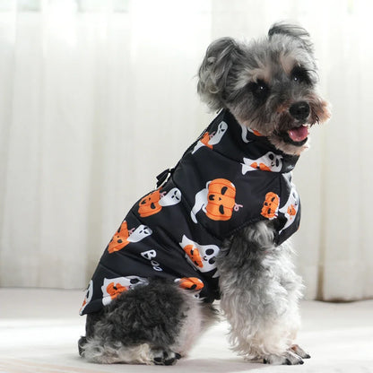 Dog wearing a black Halloween-themed coat with pumpkins and ghosts on a white background