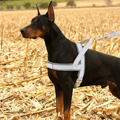 Personalized Dog Harness – Adjustable, Engraved & Ultra Comfortable