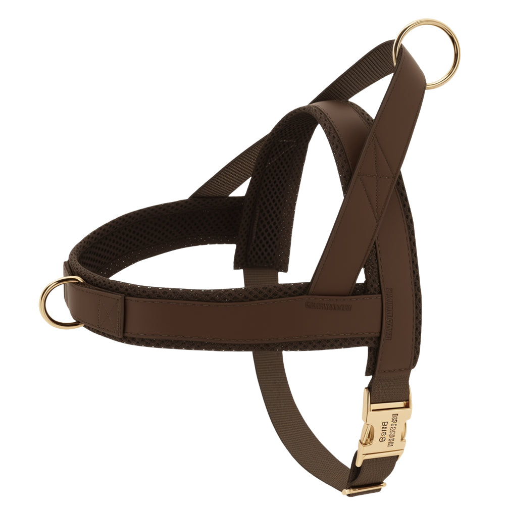 Brown personalized dog harness with mesh padding and engraved golden buckle