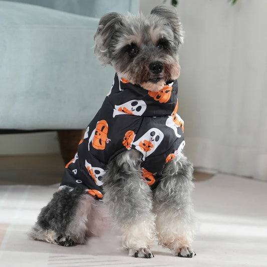 Dog wearing a Halloween-themed outfit with pumpkins and ghosts on a light background