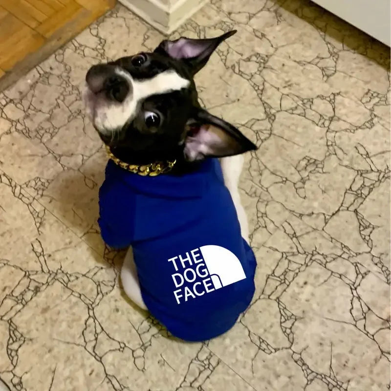 Dog wearing a blue 'The Dog Face' shirt on a marble floor