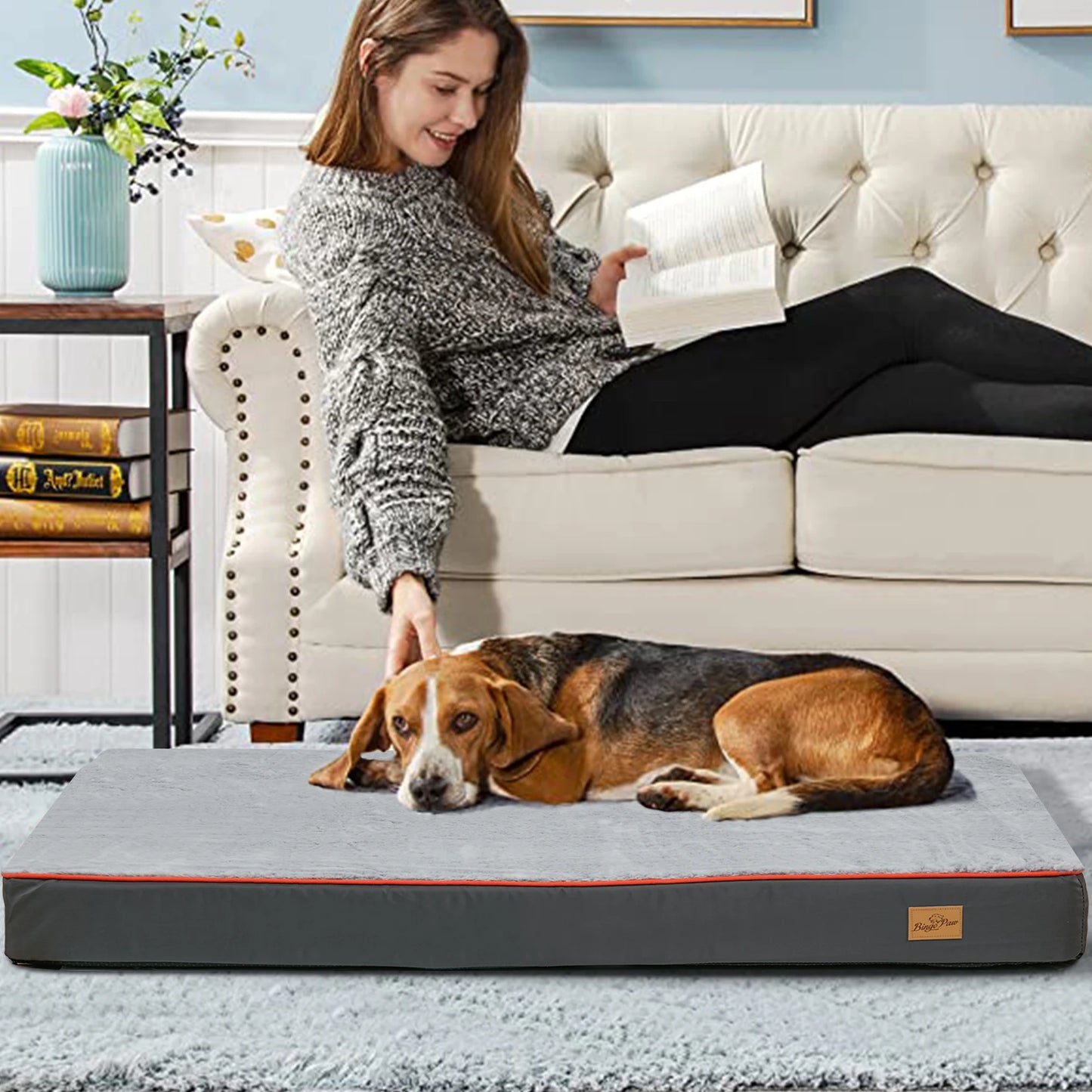 Woman reading a book on a couch with a dog lying on a pet bed in a cozy living room.