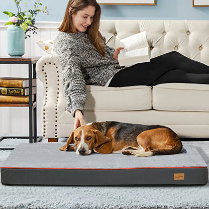 Woman reading a book on a couch with a dog lying on a pet bed in a cozy living room.
